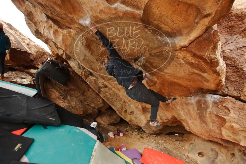 Bouldering in Hueco Tanks on 01/02/2020 with Blue Lizard Climbing and Yoga

Filename: SRM_20200102_1337290.jpg
Aperture: f/4.0
Shutter Speed: 1/250
Body: Canon EOS-1D Mark II
Lens: Canon EF 16-35mm f/2.8 L