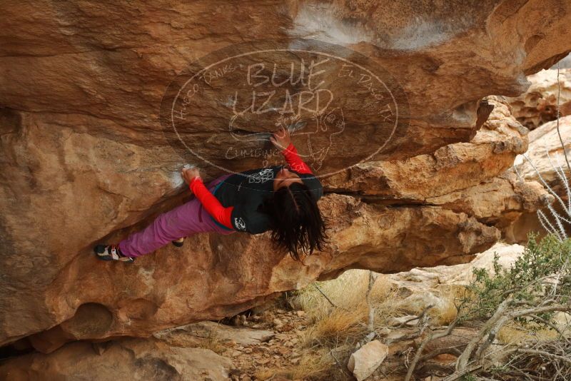 Bouldering in Hueco Tanks on 01/02/2020 with Blue Lizard Climbing and Yoga

Filename: SRM_20200102_1352561.jpg
Aperture: f/6.3
Shutter Speed: 1/200
Body: Canon EOS-1D Mark II
Lens: Canon EF 50mm f/1.8 II