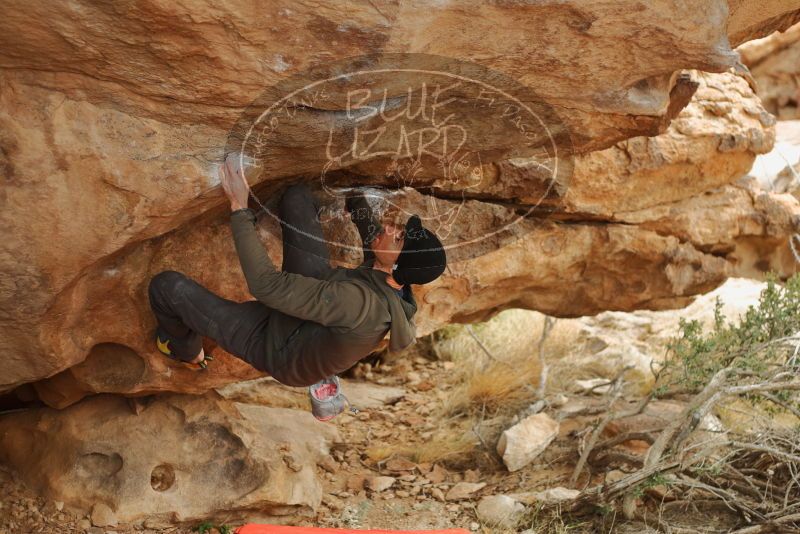 Bouldering in Hueco Tanks on 01/02/2020 with Blue Lizard Climbing and Yoga

Filename: SRM_20200102_1402500.jpg
Aperture: f/2.8
Shutter Speed: 1/250
Body: Canon EOS-1D Mark II
Lens: Canon EF 50mm f/1.8 II