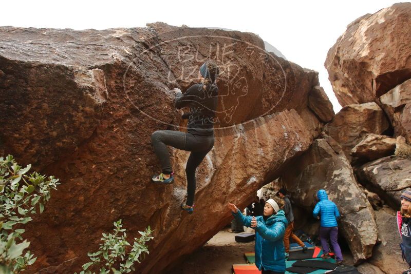 Bouldering in Hueco Tanks on 01/02/2020 with Blue Lizard Climbing and Yoga

Filename: SRM_20200102_1434290.jpg
Aperture: f/7.1
Shutter Speed: 1/250
Body: Canon EOS-1D Mark II
Lens: Canon EF 16-35mm f/2.8 L