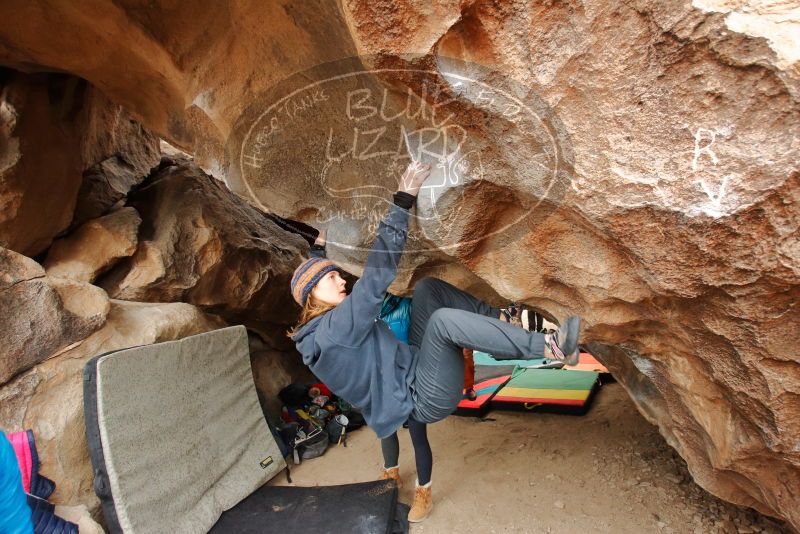 Bouldering in Hueco Tanks on 01/02/2020 with Blue Lizard Climbing and Yoga

Filename: SRM_20200102_1439230.jpg
Aperture: f/4.0
Shutter Speed: 1/250
Body: Canon EOS-1D Mark II
Lens: Canon EF 16-35mm f/2.8 L