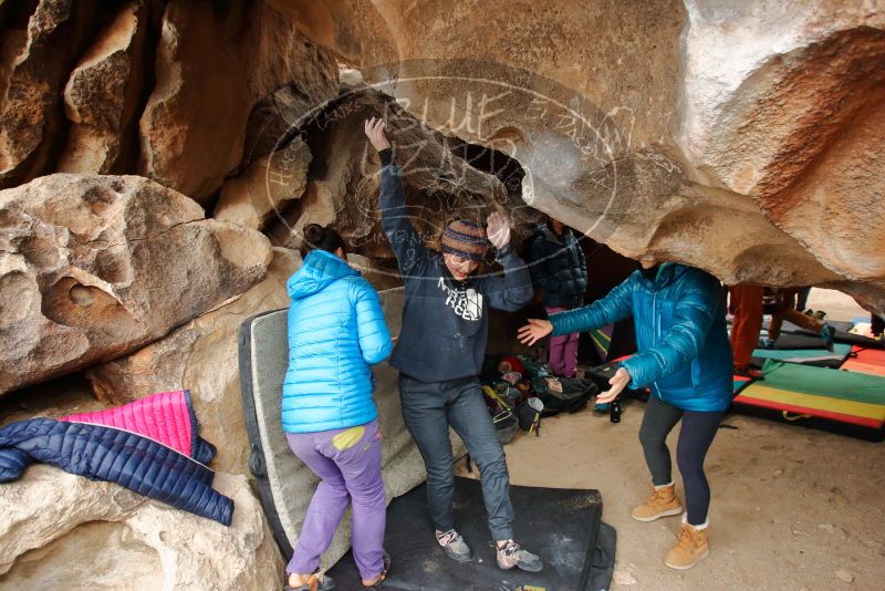 Bouldering in Hueco Tanks on 01/02/2020 with Blue Lizard Climbing and Yoga

Filename: SRM_20200102_1439380.jpg
Aperture: f/4.0
Shutter Speed: 1/250
Body: Canon EOS-1D Mark II
Lens: Canon EF 16-35mm f/2.8 L