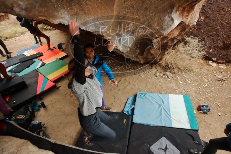 Bouldering in Hueco Tanks on 01/02/2020 with Blue Lizard Climbing and Yoga

Filename: SRM_20200102_1441110.jpg
Aperture: f/4.5
Shutter Speed: 1/250
Body: Canon EOS-1D Mark II
Lens: Canon EF 16-35mm f/2.8 L