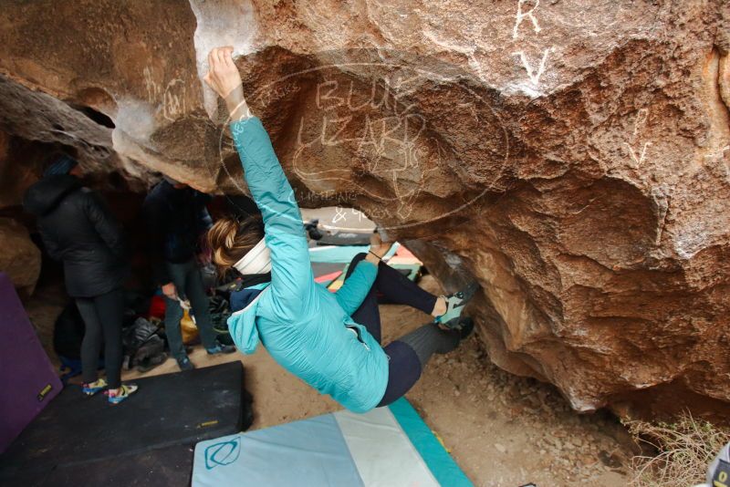 Bouldering in Hueco Tanks on 01/02/2020 with Blue Lizard Climbing and Yoga

Filename: SRM_20200102_1458130.jpg
Aperture: f/3.5
Shutter Speed: 1/250
Body: Canon EOS-1D Mark II
Lens: Canon EF 16-35mm f/2.8 L