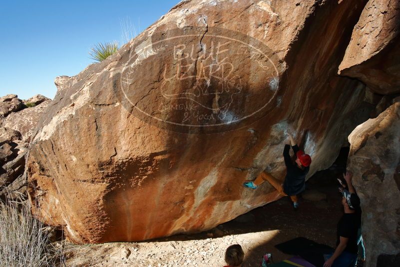 Bouldering in Hueco Tanks on 01/05/2020 with Blue Lizard Climbing and Yoga

Filename: SRM_20200105_1148020.jpg
Aperture: f/8.0
Shutter Speed: 1/250
Body: Canon EOS-1D Mark II
Lens: Canon EF 16-35mm f/2.8 L