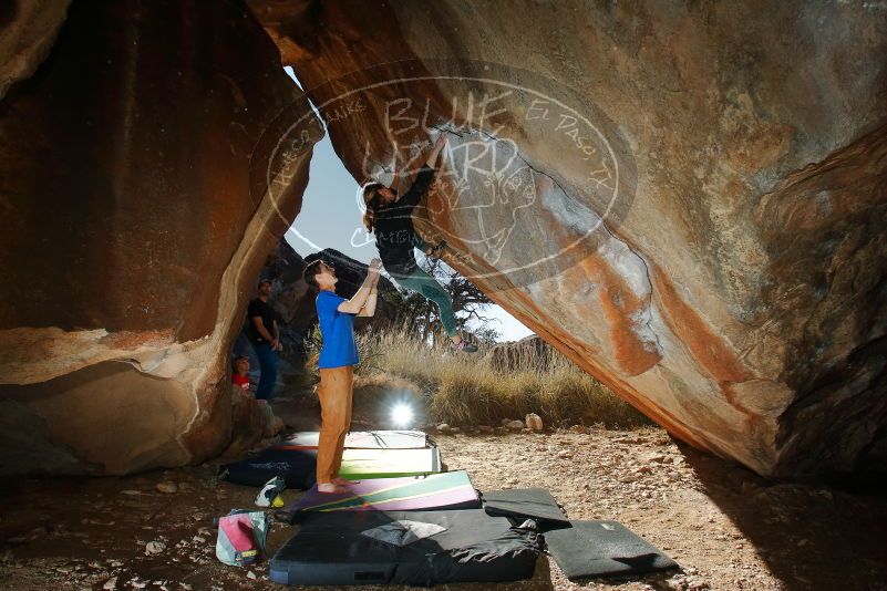 Bouldering in Hueco Tanks on 01/05/2020 with Blue Lizard Climbing and Yoga

Filename: SRM_20200105_1156580.jpg
Aperture: f/8.0
Shutter Speed: 1/250
Body: Canon EOS-1D Mark II
Lens: Canon EF 16-35mm f/2.8 L
