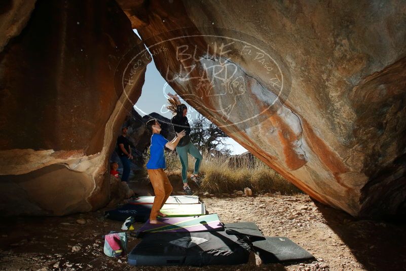 Bouldering in Hueco Tanks on 01/05/2020 with Blue Lizard Climbing and Yoga

Filename: SRM_20200105_1156590.jpg
Aperture: f/8.0
Shutter Speed: 1/250
Body: Canon EOS-1D Mark II
Lens: Canon EF 16-35mm f/2.8 L