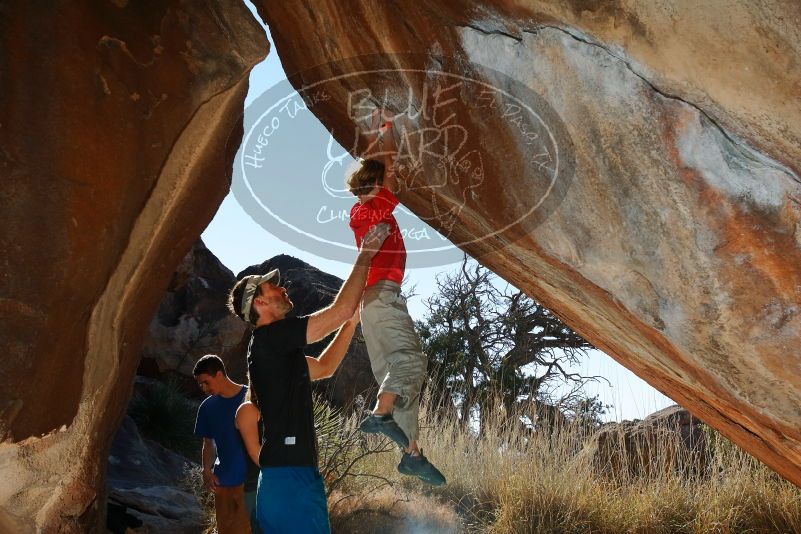 Bouldering in Hueco Tanks on 01/05/2020 with Blue Lizard Climbing and Yoga

Filename: SRM_20200105_1159530.jpg
Aperture: f/8.0
Shutter Speed: 1/250
Body: Canon EOS-1D Mark II
Lens: Canon EF 16-35mm f/2.8 L