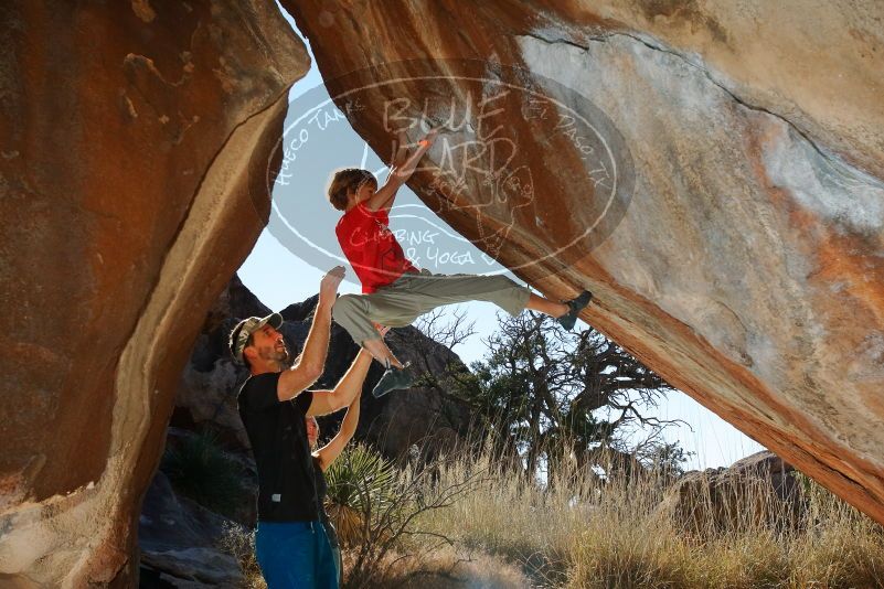 Bouldering in Hueco Tanks on 01/05/2020 with Blue Lizard Climbing and Yoga

Filename: SRM_20200105_1200010.jpg
Aperture: f/8.0
Shutter Speed: 1/250
Body: Canon EOS-1D Mark II
Lens: Canon EF 16-35mm f/2.8 L