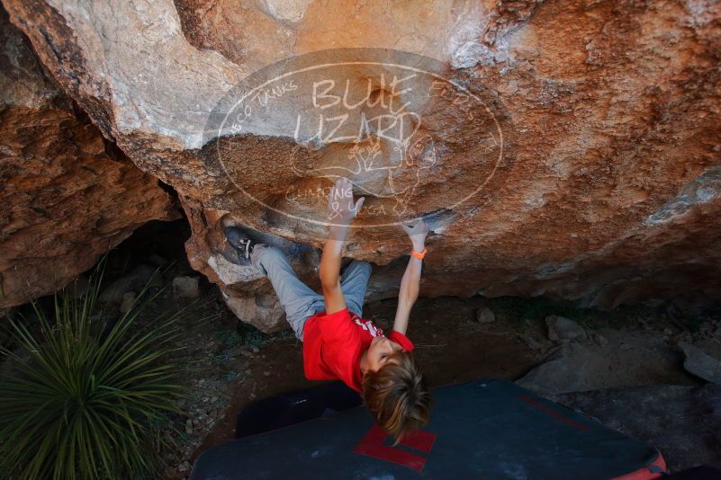 Bouldering in Hueco Tanks on 01/05/2020 with Blue Lizard Climbing and Yoga

Filename: SRM_20200105_1306470.jpg
Aperture: f/5.0
Shutter Speed: 1/250
Body: Canon EOS-1D Mark II
Lens: Canon EF 16-35mm f/2.8 L