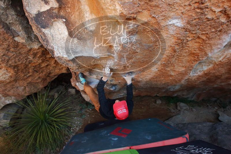 Bouldering in Hueco Tanks on 01/05/2020 with Blue Lizard Climbing and Yoga

Filename: SRM_20200105_1307320.jpg
Aperture: f/4.0
Shutter Speed: 1/250
Body: Canon EOS-1D Mark II
Lens: Canon EF 16-35mm f/2.8 L