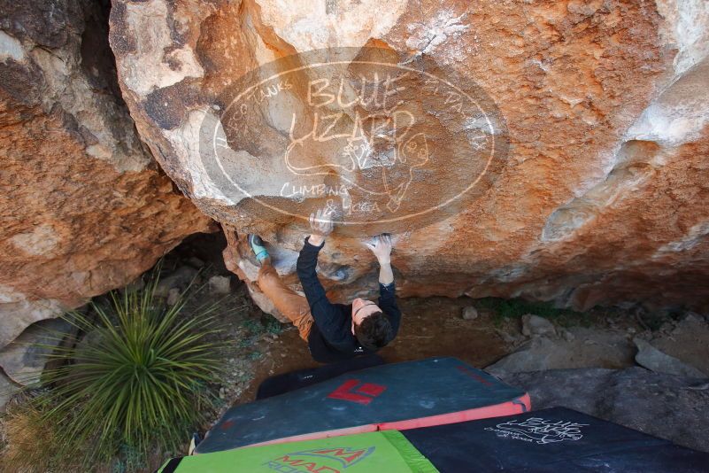 Bouldering in Hueco Tanks on 01/05/2020 with Blue Lizard Climbing and Yoga

Filename: SRM_20200105_1308400.jpg
Aperture: f/4.0
Shutter Speed: 1/250
Body: Canon EOS-1D Mark II
Lens: Canon EF 16-35mm f/2.8 L