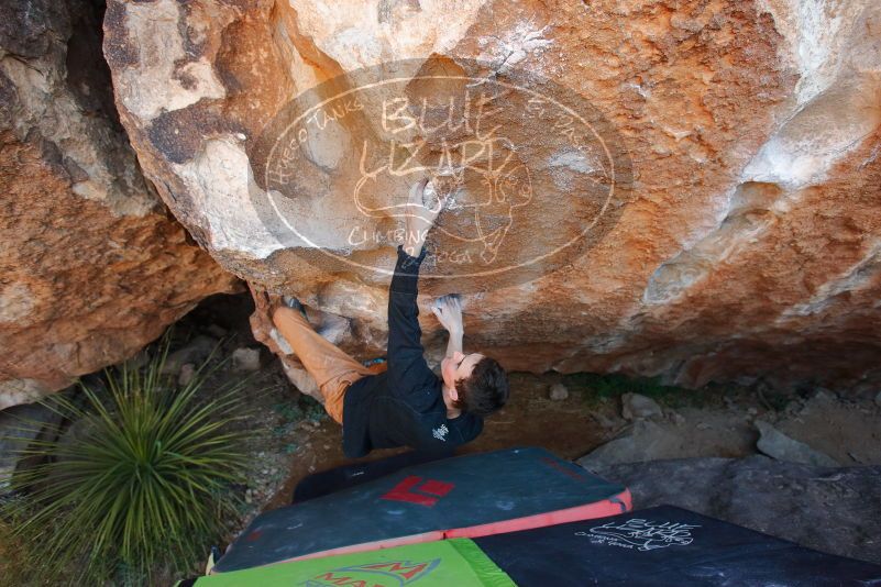 Bouldering in Hueco Tanks on 01/05/2020 with Blue Lizard Climbing and Yoga

Filename: SRM_20200105_1308420.jpg
Aperture: f/4.0
Shutter Speed: 1/250
Body: Canon EOS-1D Mark II
Lens: Canon EF 16-35mm f/2.8 L