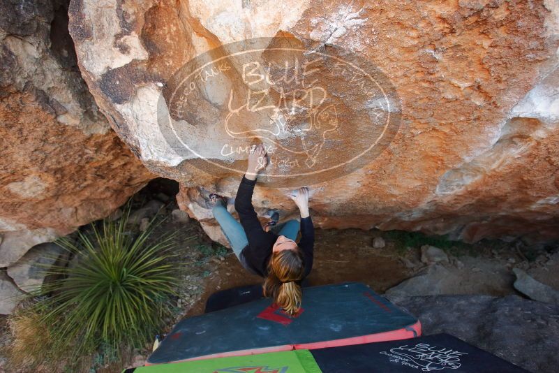 Bouldering in Hueco Tanks on 01/05/2020 with Blue Lizard Climbing and Yoga

Filename: SRM_20200105_1311090.jpg
Aperture: f/4.0
Shutter Speed: 1/250
Body: Canon EOS-1D Mark II
Lens: Canon EF 16-35mm f/2.8 L