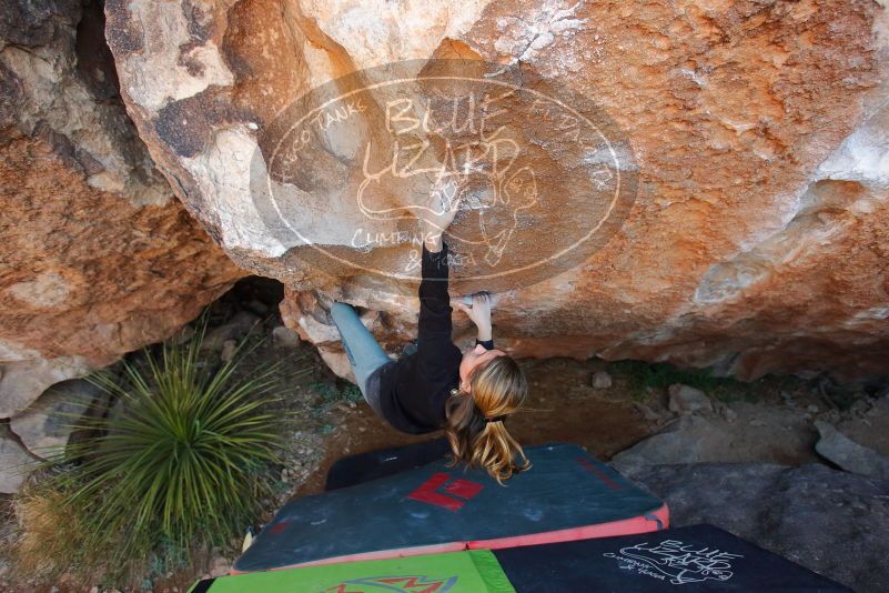 Bouldering in Hueco Tanks on 01/05/2020 with Blue Lizard Climbing and Yoga

Filename: SRM_20200105_1311110.jpg
Aperture: f/4.0
Shutter Speed: 1/250
Body: Canon EOS-1D Mark II
Lens: Canon EF 16-35mm f/2.8 L