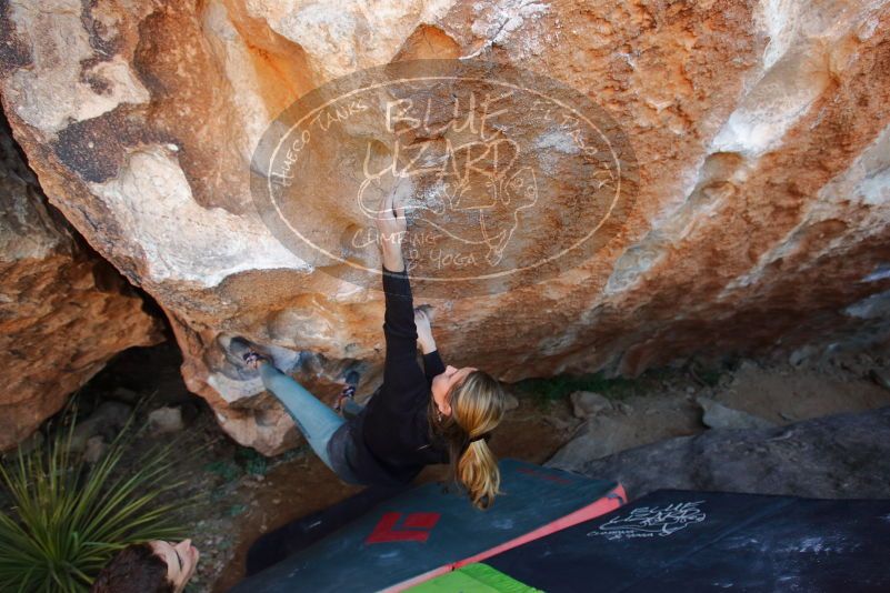 Bouldering in Hueco Tanks on 01/05/2020 with Blue Lizard Climbing and Yoga

Filename: SRM_20200105_1314570.jpg
Aperture: f/4.0
Shutter Speed: 1/250
Body: Canon EOS-1D Mark II
Lens: Canon EF 16-35mm f/2.8 L