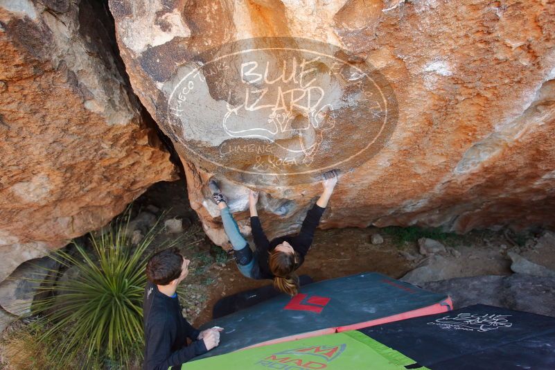 Bouldering in Hueco Tanks on 01/05/2020 with Blue Lizard Climbing and Yoga

Filename: SRM_20200105_1317080.jpg
Aperture: f/3.5
Shutter Speed: 1/250
Body: Canon EOS-1D Mark II
Lens: Canon EF 16-35mm f/2.8 L