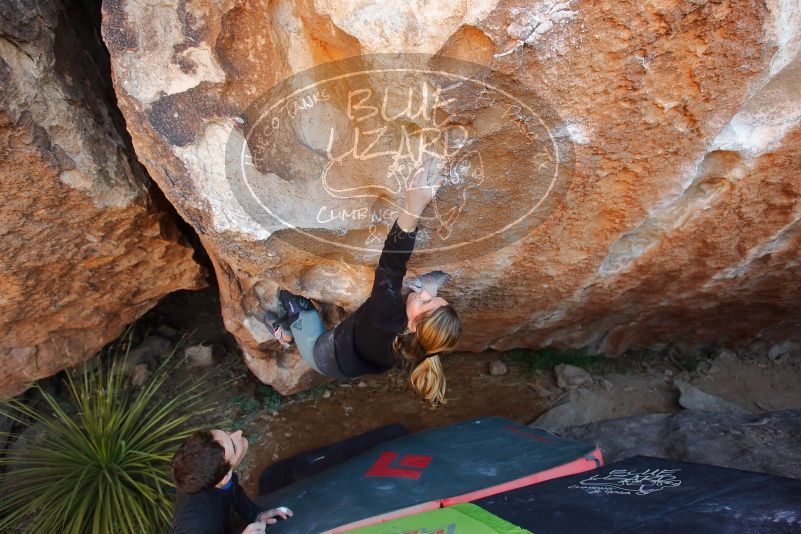 Bouldering in Hueco Tanks on 01/05/2020 with Blue Lizard Climbing and Yoga

Filename: SRM_20200105_1317180.jpg
Aperture: f/4.0
Shutter Speed: 1/250
Body: Canon EOS-1D Mark II
Lens: Canon EF 16-35mm f/2.8 L