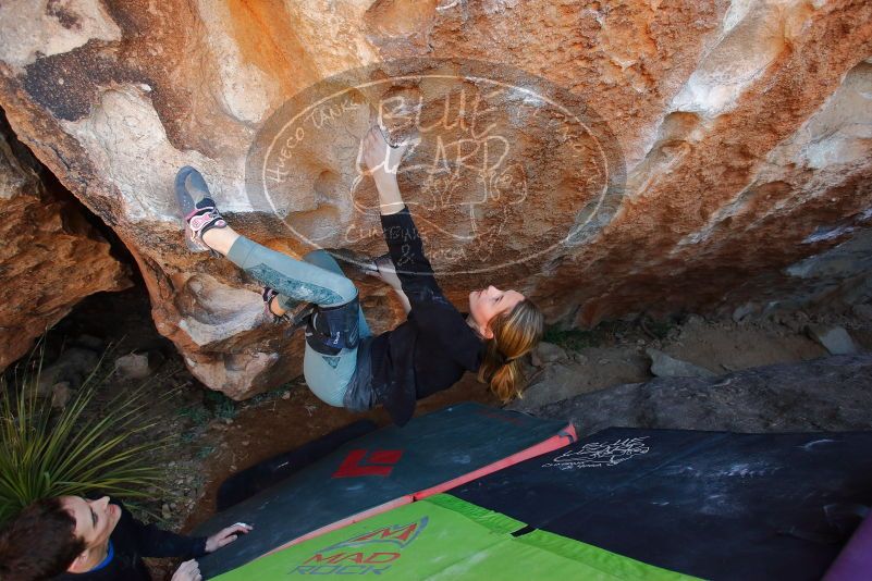 Bouldering in Hueco Tanks on 01/05/2020 with Blue Lizard Climbing and Yoga

Filename: SRM_20200105_1317260.jpg
Aperture: f/4.0
Shutter Speed: 1/250
Body: Canon EOS-1D Mark II
Lens: Canon EF 16-35mm f/2.8 L