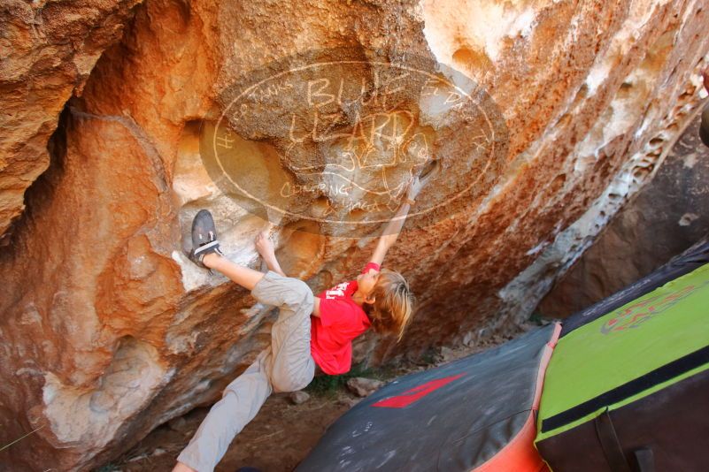 Bouldering in Hueco Tanks on 01/05/2020 with Blue Lizard Climbing and Yoga

Filename: SRM_20200105_1323490.jpg
Aperture: f/3.5
Shutter Speed: 1/250
Body: Canon EOS-1D Mark II
Lens: Canon EF 16-35mm f/2.8 L