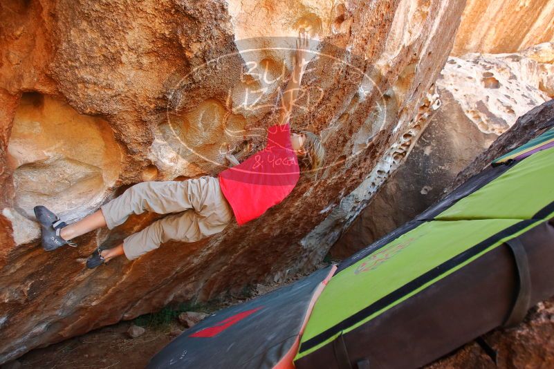 Bouldering in Hueco Tanks on 01/05/2020 with Blue Lizard Climbing and Yoga

Filename: SRM_20200105_1323581.jpg
Aperture: f/4.5
Shutter Speed: 1/250
Body: Canon EOS-1D Mark II
Lens: Canon EF 16-35mm f/2.8 L