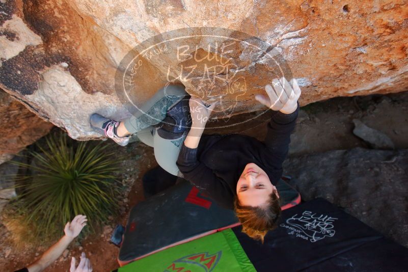 Bouldering in Hueco Tanks on 01/05/2020 with Blue Lizard Climbing and Yoga

Filename: SRM_20200105_1327220.jpg
Aperture: f/4.5
Shutter Speed: 1/250
Body: Canon EOS-1D Mark II
Lens: Canon EF 16-35mm f/2.8 L