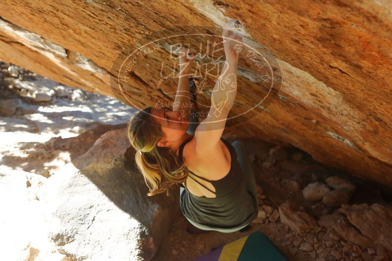 Bouldering in Hueco Tanks on 01/05/2020 with Blue Lizard Climbing and Yoga

Filename: SRM_20200105_1411370.jpg
Aperture: f/4.5
Shutter Speed: 1/400
Body: Canon EOS-1D Mark II
Lens: Canon EF 50mm f/1.8 II