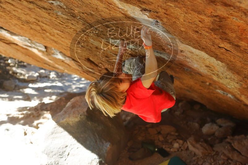 Bouldering in Hueco Tanks on 01/05/2020 with Blue Lizard Climbing and Yoga

Filename: SRM_20200105_1413220.jpg
Aperture: f/4.0
Shutter Speed: 1/400
Body: Canon EOS-1D Mark II
Lens: Canon EF 50mm f/1.8 II