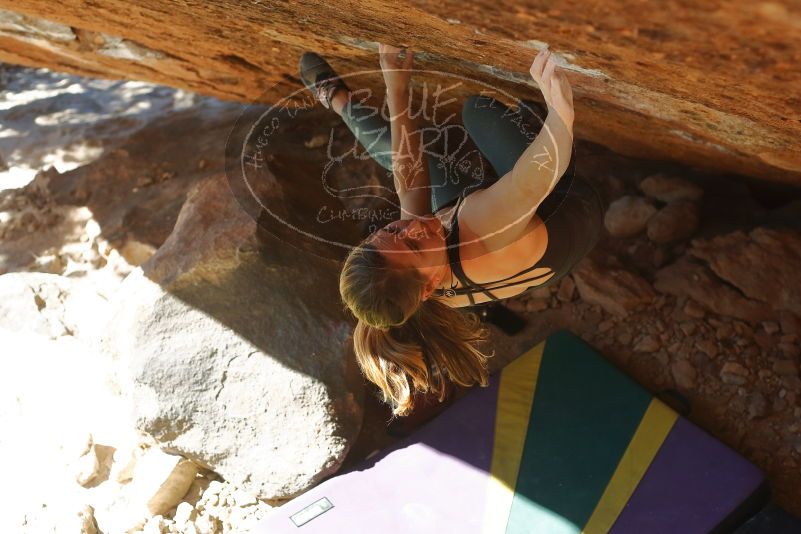 Bouldering in Hueco Tanks on 01/05/2020 with Blue Lizard Climbing and Yoga

Filename: SRM_20200105_1417011.jpg
Aperture: f/4.0
Shutter Speed: 1/800
Body: Canon EOS-1D Mark II
Lens: Canon EF 50mm f/1.8 II