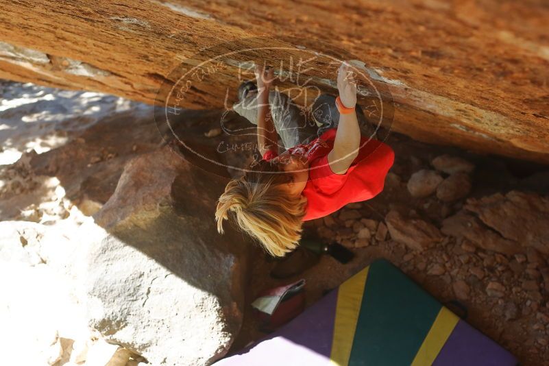 Bouldering in Hueco Tanks on 01/05/2020 with Blue Lizard Climbing and Yoga

Filename: SRM_20200105_1417282.jpg
Aperture: f/4.0
Shutter Speed: 1/800
Body: Canon EOS-1D Mark II
Lens: Canon EF 50mm f/1.8 II