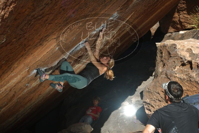 Bouldering in Hueco Tanks on 01/05/2020 with Blue Lizard Climbing and Yoga

Filename: SRM_20200105_1423420.jpg
Aperture: f/5.6
Shutter Speed: 1/250
Body: Canon EOS-1D Mark II
Lens: Canon EF 50mm f/1.8 II