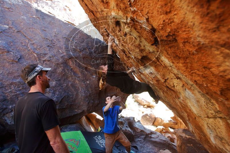 Bouldering in Hueco Tanks on 01/05/2020 with Blue Lizard Climbing and Yoga

Filename: SRM_20200105_1450320.jpg
Aperture: f/4.0
Shutter Speed: 1/250
Body: Canon EOS-1D Mark II
Lens: Canon EF 16-35mm f/2.8 L
