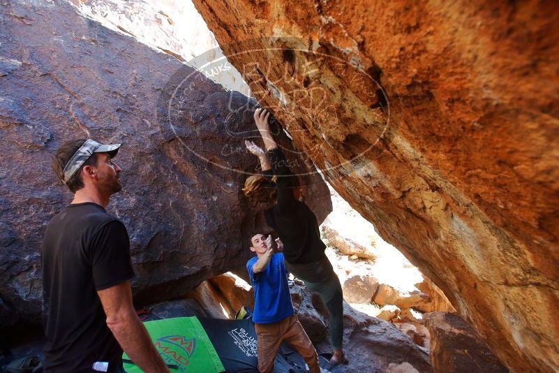 Bouldering in Hueco Tanks on 01/05/2020 with Blue Lizard Climbing and Yoga

Filename: SRM_20200105_1450330.jpg
Aperture: f/4.5
Shutter Speed: 1/250
Body: Canon EOS-1D Mark II
Lens: Canon EF 16-35mm f/2.8 L