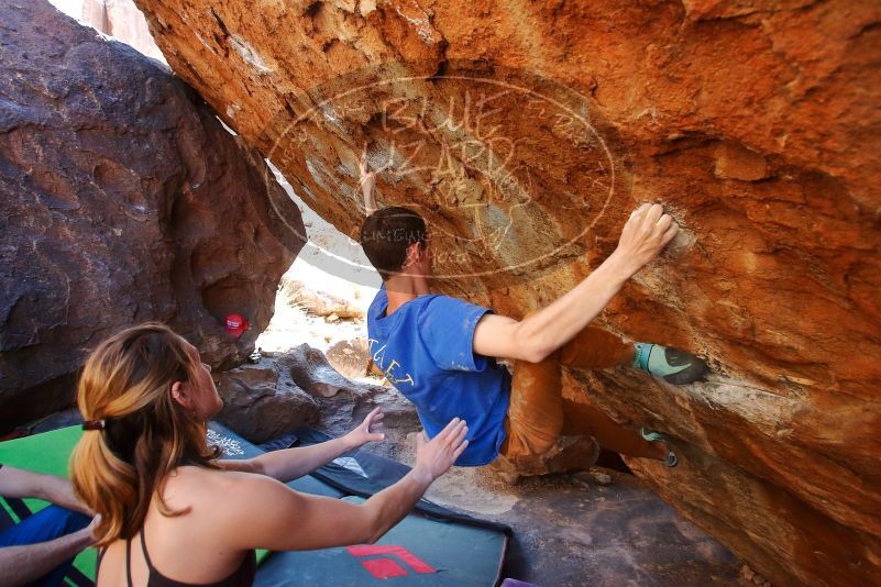 Bouldering in Hueco Tanks on 01/05/2020 with Blue Lizard Climbing and Yoga

Filename: SRM_20200105_1458100.jpg
Aperture: f/4.5
Shutter Speed: 1/250
Body: Canon EOS-1D Mark II
Lens: Canon EF 16-35mm f/2.8 L