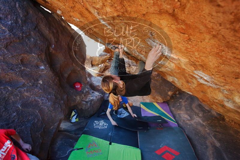 Bouldering in Hueco Tanks on 01/05/2020 with Blue Lizard Climbing and Yoga

Filename: SRM_20200105_1530280.jpg
Aperture: f/4.0
Shutter Speed: 1/250
Body: Canon EOS-1D Mark II
Lens: Canon EF 16-35mm f/2.8 L