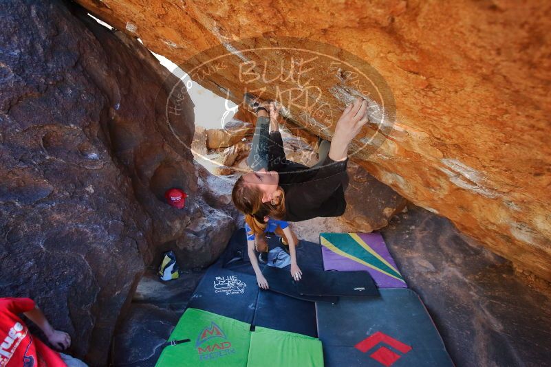 Bouldering in Hueco Tanks on 01/05/2020 with Blue Lizard Climbing and Yoga

Filename: SRM_20200105_1530290.jpg
Aperture: f/3.5
Shutter Speed: 1/250
Body: Canon EOS-1D Mark II
Lens: Canon EF 16-35mm f/2.8 L