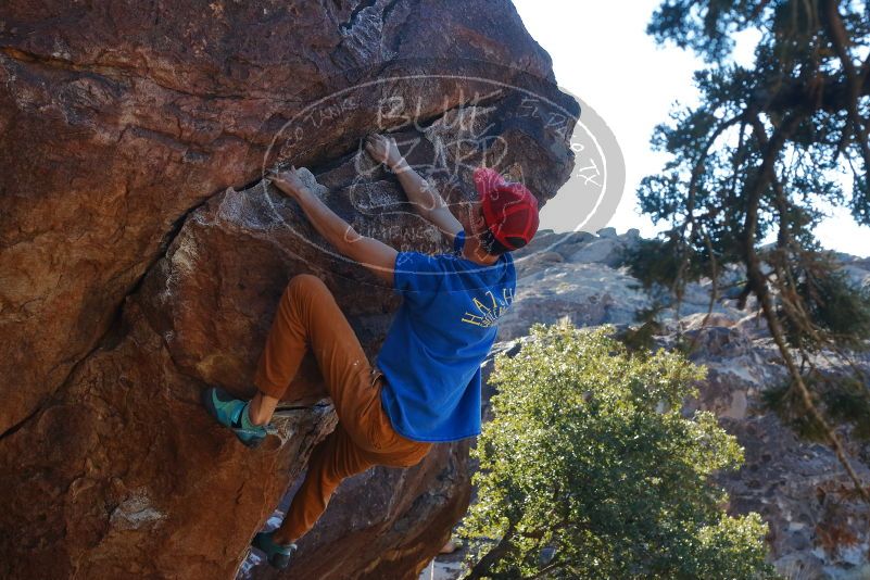 Bouldering in Hueco Tanks on 01/05/2020 with Blue Lizard Climbing and Yoga

Filename: SRM_20200105_1558130.jpg
Aperture: f/8.0
Shutter Speed: 1/250
Body: Canon EOS-1D Mark II
Lens: Canon EF 50mm f/1.8 II