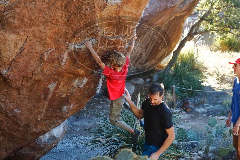 Bouldering in Hueco Tanks on 01/05/2020 with Blue Lizard Climbing and Yoga

Filename: SRM_20200105_1605290.jpg
Aperture: f/4.5
Shutter Speed: 1/250
Body: Canon EOS-1D Mark II
Lens: Canon EF 50mm f/1.8 II