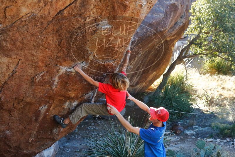 Bouldering in Hueco Tanks on 01/05/2020 with Blue Lizard Climbing and Yoga

Filename: SRM_20200105_1605390.jpg
Aperture: f/5.0
Shutter Speed: 1/250
Body: Canon EOS-1D Mark II
Lens: Canon EF 50mm f/1.8 II