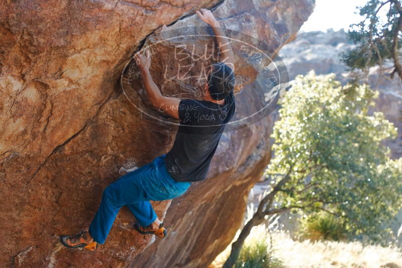 Bouldering in Hueco Tanks on 01/05/2020 with Blue Lizard Climbing and Yoga

Filename: SRM_20200105_1606430.jpg
Aperture: f/3.5
Shutter Speed: 1/250
Body: Canon EOS-1D Mark II
Lens: Canon EF 50mm f/1.8 II
