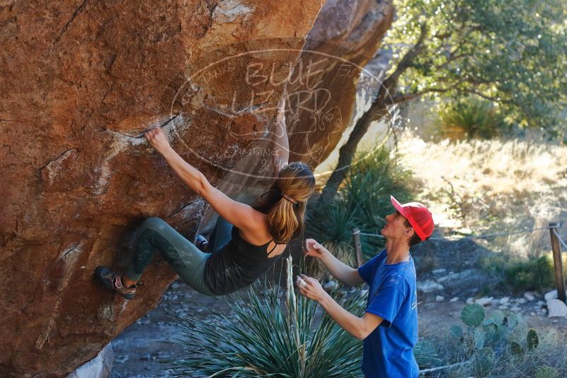 Bouldering in Hueco Tanks on 01/05/2020 with Blue Lizard Climbing and Yoga

Filename: SRM_20200105_1611210.jpg
Aperture: f/4.0
Shutter Speed: 1/250
Body: Canon EOS-1D Mark II
Lens: Canon EF 50mm f/1.8 II