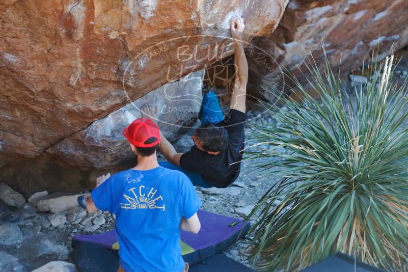 Bouldering in Hueco Tanks on 01/05/2020 with Blue Lizard Climbing and Yoga

Filename: SRM_20200105_1620000.jpg
Aperture: f/2.8
Shutter Speed: 1/250
Body: Canon EOS-1D Mark II
Lens: Canon EF 50mm f/1.8 II