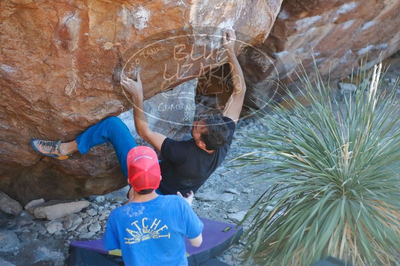 Bouldering in Hueco Tanks on 01/05/2020 with Blue Lizard Climbing and Yoga

Filename: SRM_20200105_1620030.jpg
Aperture: f/2.5
Shutter Speed: 1/250
Body: Canon EOS-1D Mark II
Lens: Canon EF 50mm f/1.8 II
