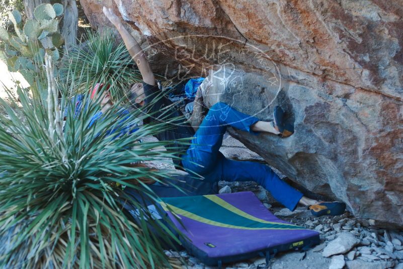 Bouldering in Hueco Tanks on 01/05/2020 with Blue Lizard Climbing and Yoga

Filename: SRM_20200105_1622070.jpg
Aperture: f/3.5
Shutter Speed: 1/250
Body: Canon EOS-1D Mark II
Lens: Canon EF 50mm f/1.8 II