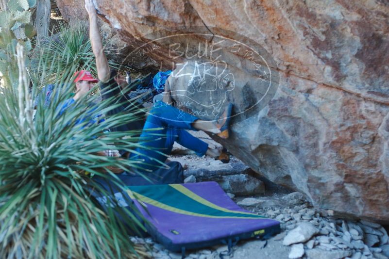 Bouldering in Hueco Tanks on 01/05/2020 with Blue Lizard Climbing and Yoga

Filename: SRM_20200105_1622110.jpg
Aperture: f/3.2
Shutter Speed: 1/250
Body: Canon EOS-1D Mark II
Lens: Canon EF 50mm f/1.8 II