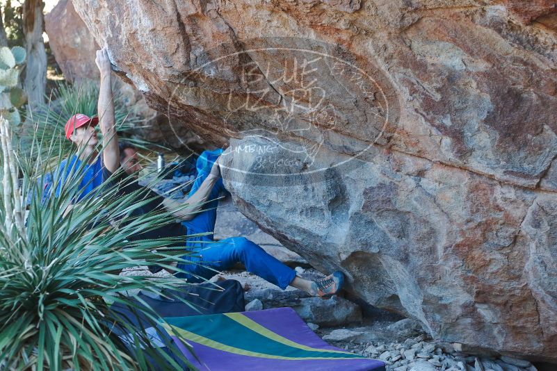 Bouldering in Hueco Tanks on 01/05/2020 with Blue Lizard Climbing and Yoga

Filename: SRM_20200105_1622130.jpg
Aperture: f/3.2
Shutter Speed: 1/250
Body: Canon EOS-1D Mark II
Lens: Canon EF 50mm f/1.8 II