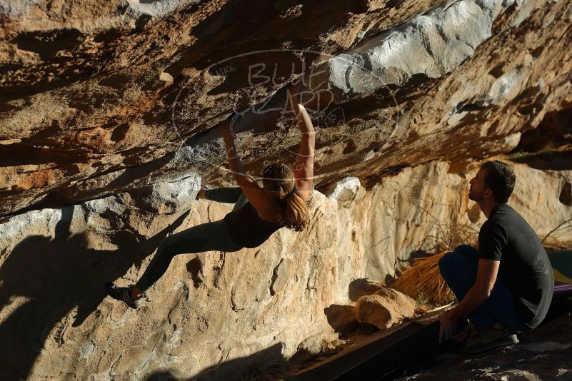 Bouldering in Hueco Tanks on 01/05/2020 with Blue Lizard Climbing and Yoga

Filename: SRM_20200105_1659040.jpg
Aperture: f/4.5
Shutter Speed: 1/500
Body: Canon EOS-1D Mark II
Lens: Canon EF 50mm f/1.8 II
