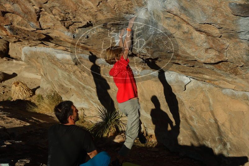 Bouldering in Hueco Tanks on 01/05/2020 with Blue Lizard Climbing and Yoga

Filename: SRM_20200105_1659440.jpg
Aperture: f/6.3
Shutter Speed: 1/500
Body: Canon EOS-1D Mark II
Lens: Canon EF 50mm f/1.8 II