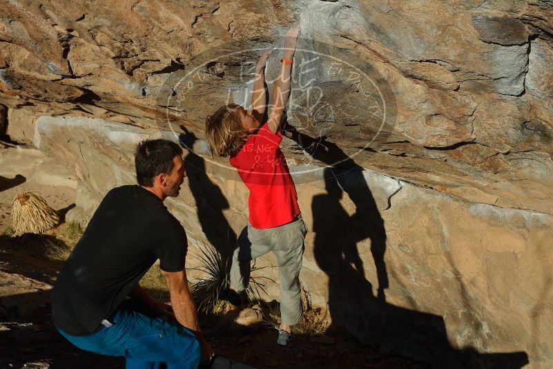Bouldering in Hueco Tanks on 01/05/2020 with Blue Lizard Climbing and Yoga

Filename: SRM_20200105_1659450.jpg
Aperture: f/5.6
Shutter Speed: 1/500
Body: Canon EOS-1D Mark II
Lens: Canon EF 50mm f/1.8 II