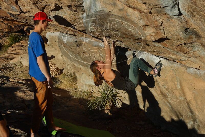 Bouldering in Hueco Tanks on 01/05/2020 with Blue Lizard Climbing and Yoga

Filename: SRM_20200105_1701260.jpg
Aperture: f/5.6
Shutter Speed: 1/500
Body: Canon EOS-1D Mark II
Lens: Canon EF 50mm f/1.8 II